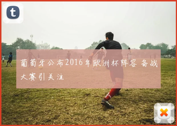 葡萄牙公布2016年欧洲杯阵容 备战大赛引关注