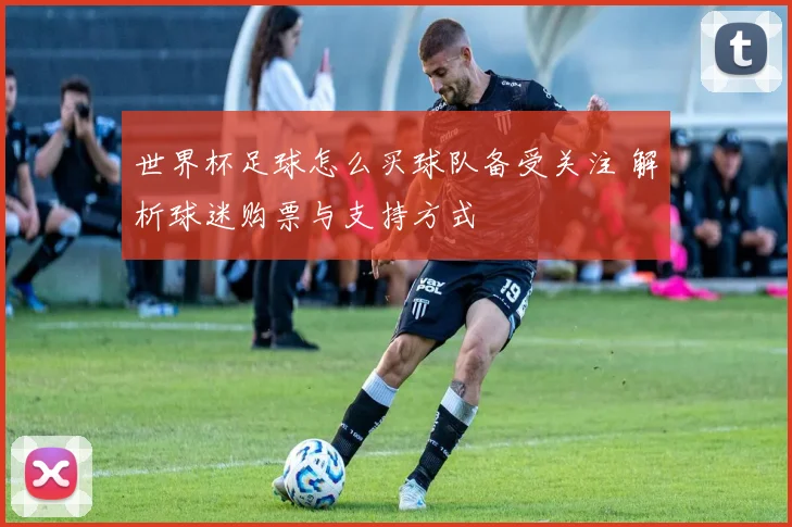 世界杯足球怎么买球队备受关注 解析球迷购票与支持方式