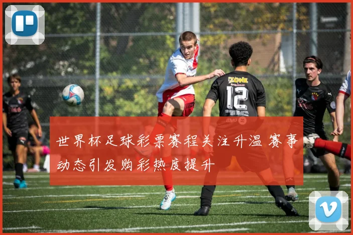 世界杯足球彩票赛程关注升温 赛事动态引发购彩热度提升