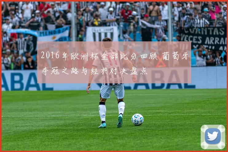 2016年欧洲杯全部比分回顾 葡萄牙夺冠之路与经典对决盘点