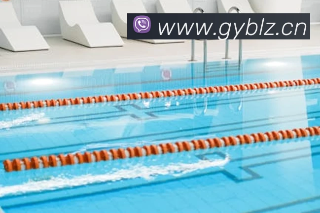 滚球买球的app平台生态图